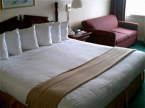 Econo Lodge Inn & Suites Triadelphia - Wheeling Kamer foto